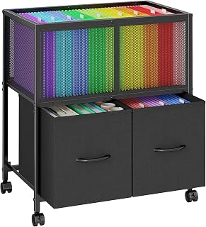 Sbanmao Rolling File Cart, File Cabinet with 2 Fabric Drawers, Black | Mobile Filing Cabinet with Wheels Hanging File Organizer Fit Letter Size for Home Office, Under Desk Storage Cart