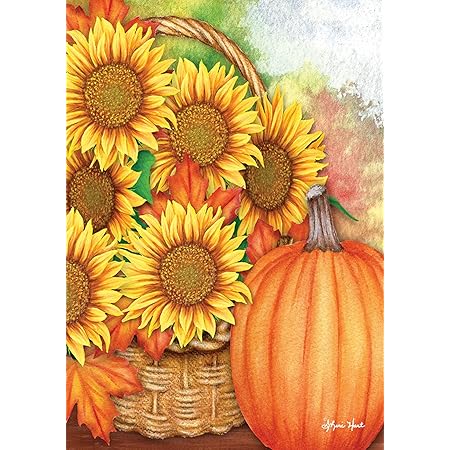 Amazon.com : Toland Home Garden 112536 Welcome Friends 12.5 x 18 Inch ...