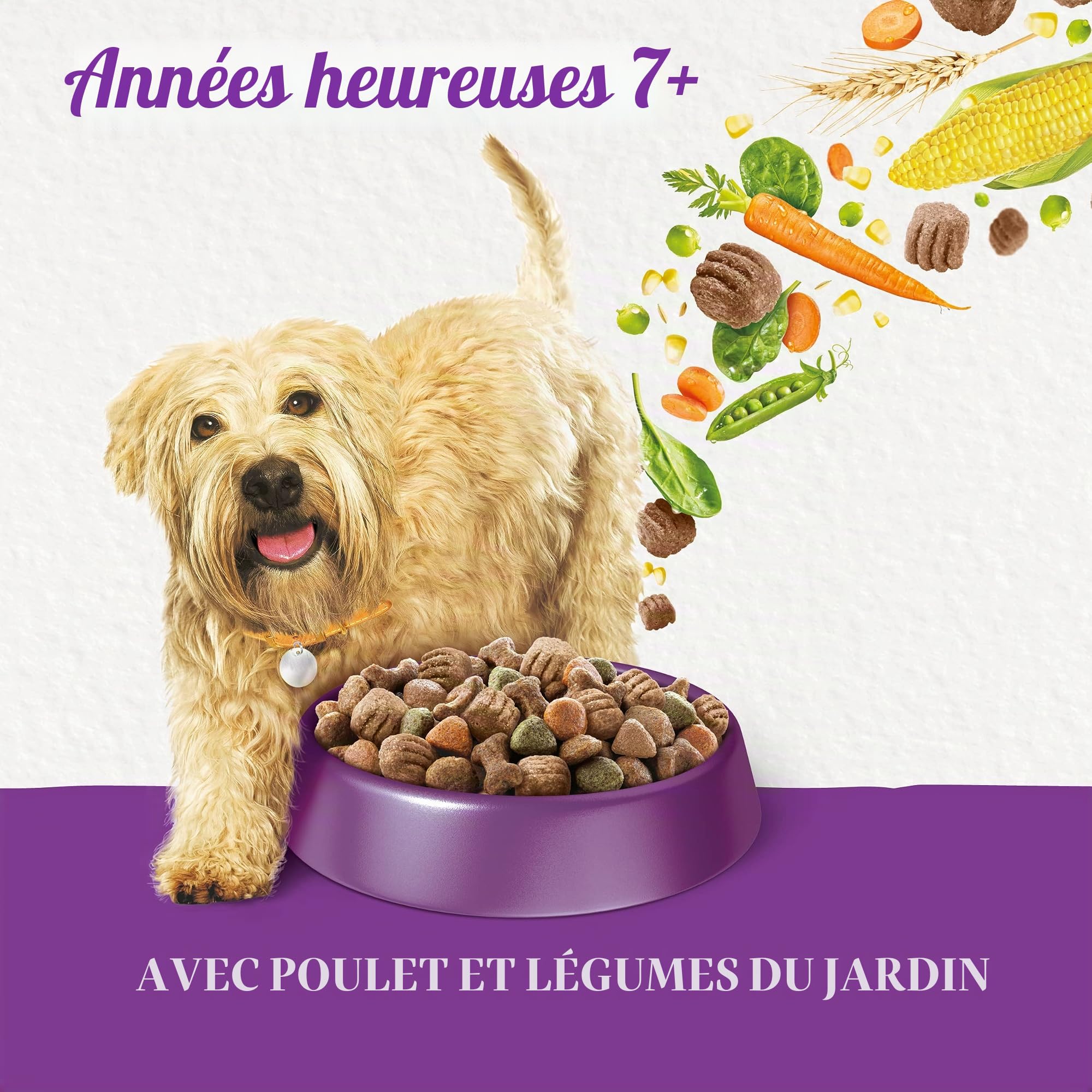 Beneful Glückliche Jahre 7+ Senior Nourriture sèche pour Chien avec Poulet et légumes du Jardin, 1 Paquet (1 x 12 kg)