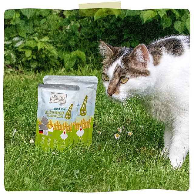 Foto 6 de 6 de MjAMjAM - Comida húmeda Premium para Gatos - Quetschie