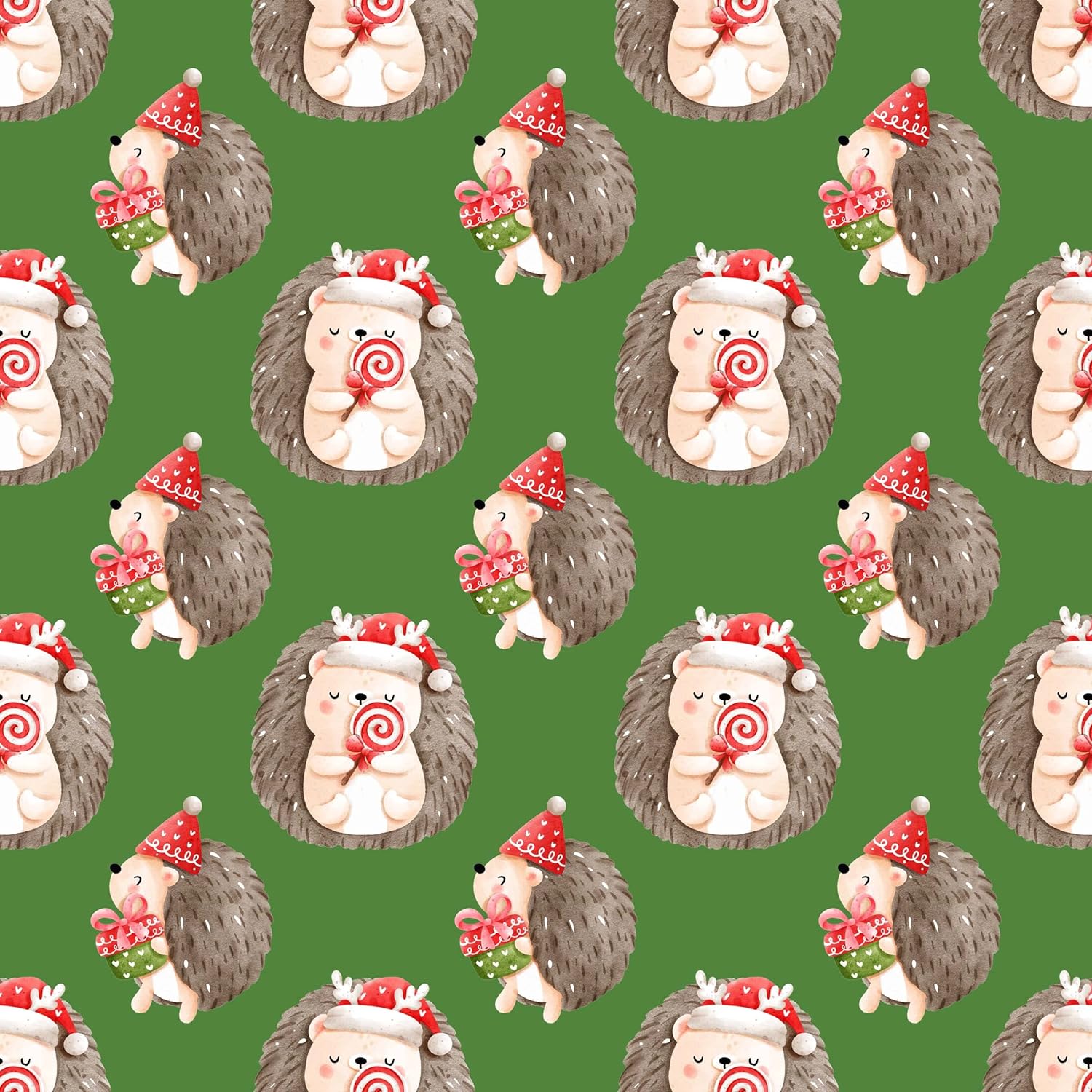 Cute Watercolor Hedgehog Gift Wrap Christmas Thick Wrapping Paper Holiday Party Decor (12 foot x 30 inch roll)