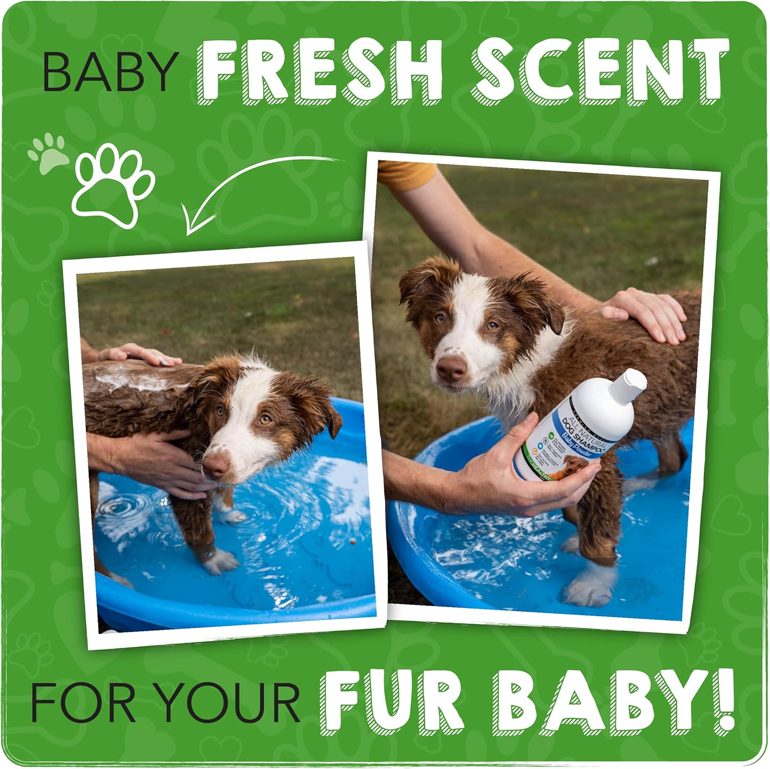 Can You Bathe Your Puppy At 8 Weeks Old