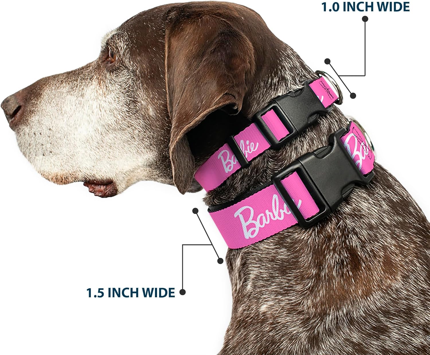 Mattel Dog Collar with Plastic Buckle, Quick Release, Easy Adjustable, Barbie Script Signature Logo Pink White, 13 to 17 Inches 1.5 Inch Wide