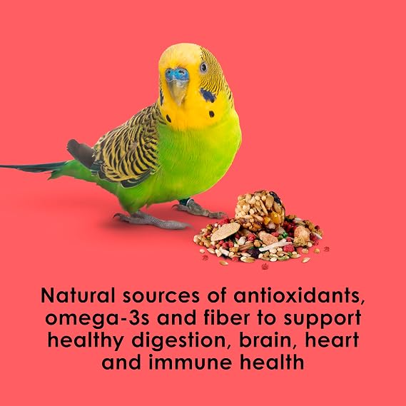 Kaytee Fiesta Parakeet Bird Food, Nutritious and Fun Blend, Supports Skin, Feather, Digestion, Brain and Heart Health, Bird Seed Mix, 2 Pounds