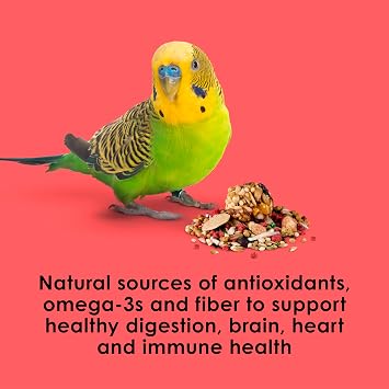 Kaytee Fiesta Parakeet Bird Food, Nutritious and Fun Blend, Supports Skin, Feather, Digestion, Brain and Heart Health, Bird Seed Mix, 2 Pounds