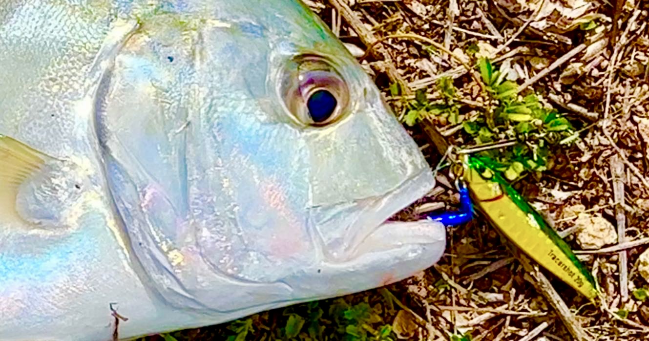 10 Jig Mustad Tracershot Assortiti 1,25 Oz (30g) Per Pesca In Mare, Casting