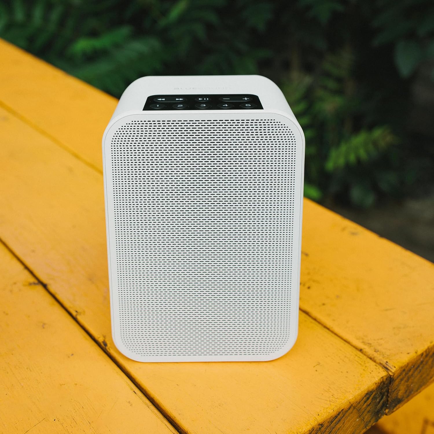 Bluesound BP100 battery pack