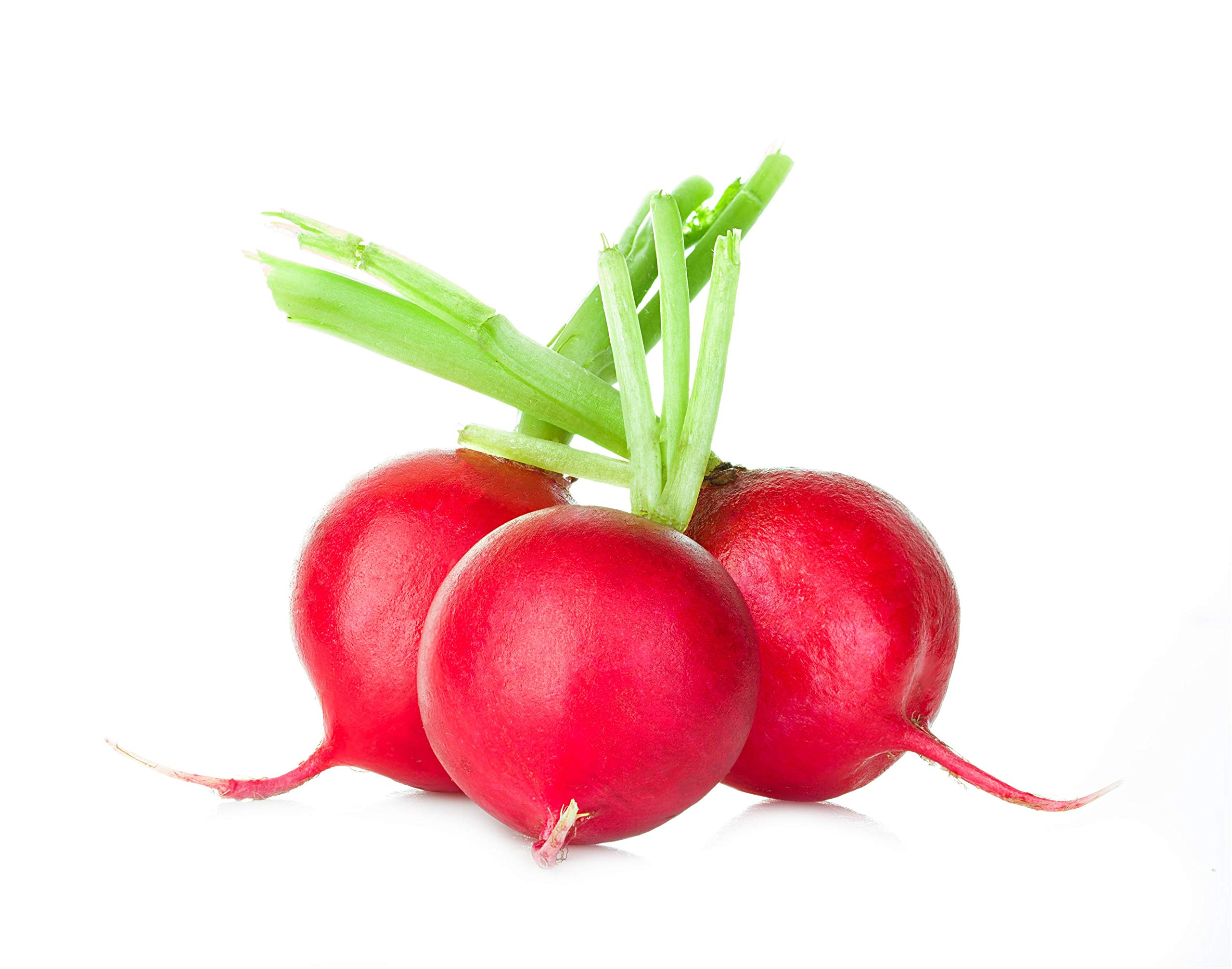 Crimson Giant Radish Seeds for Planting, 200+ Heirloom Seeds Per Packet, (Isla's Garden Seeds), Non Gmo Seeds, Botanical Name: Raphanus sativus, Great Home Garden Gift