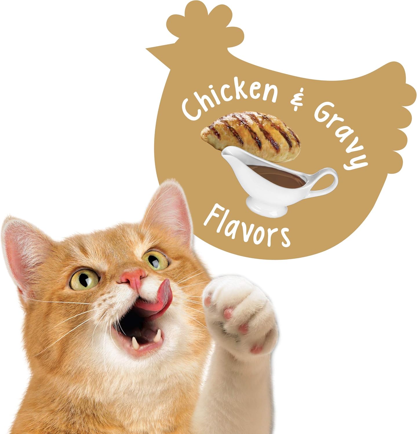 Purina Friskies Made in USA Facilities Cat Treats, Party Mix Crunch Gravylicious Chicken & Gravy Flavors - 20 oz. Pouch : Pet Supplies