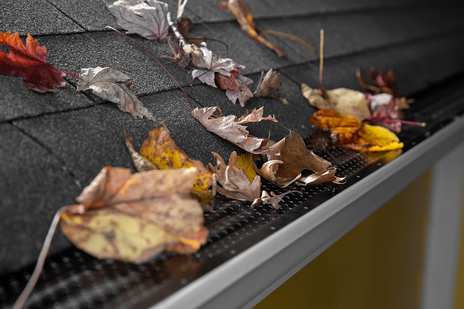 ASHIELD4 Armour Shield Gutter Guard, Corrosive Resistant Aluminum with Dura-Ridge Airflow System to Maximize Leaf Removal, 5" x 4', Pack of 5 (Total 20 ft)