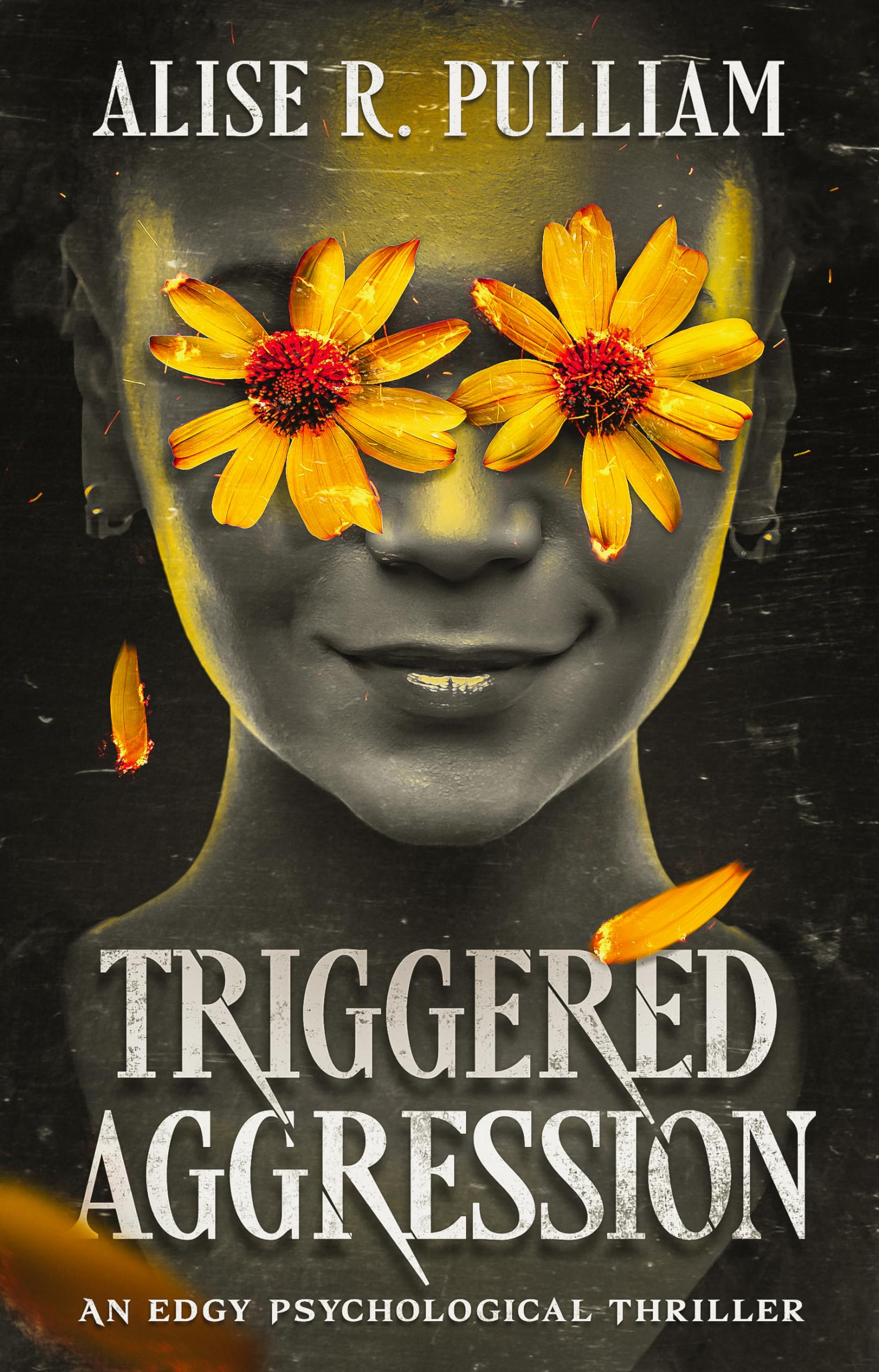 Triggered Aggression: An Edgy Psychological Thriller