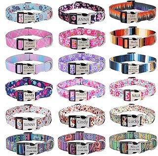 YLrank Personalisierte Hundehalsband, mit Eingraviertem Namen und Telefonnummer – Weich & Komfort Hunde Halsband für Kleine Mittlere Große Hunde Welpen Katzen product image