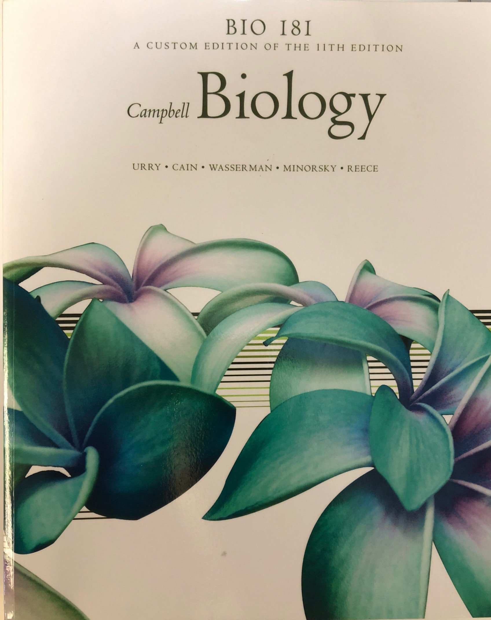 Bio 181 Custom 11th Edition Campbell Biology : Reece: Amazon.co.uk: Books