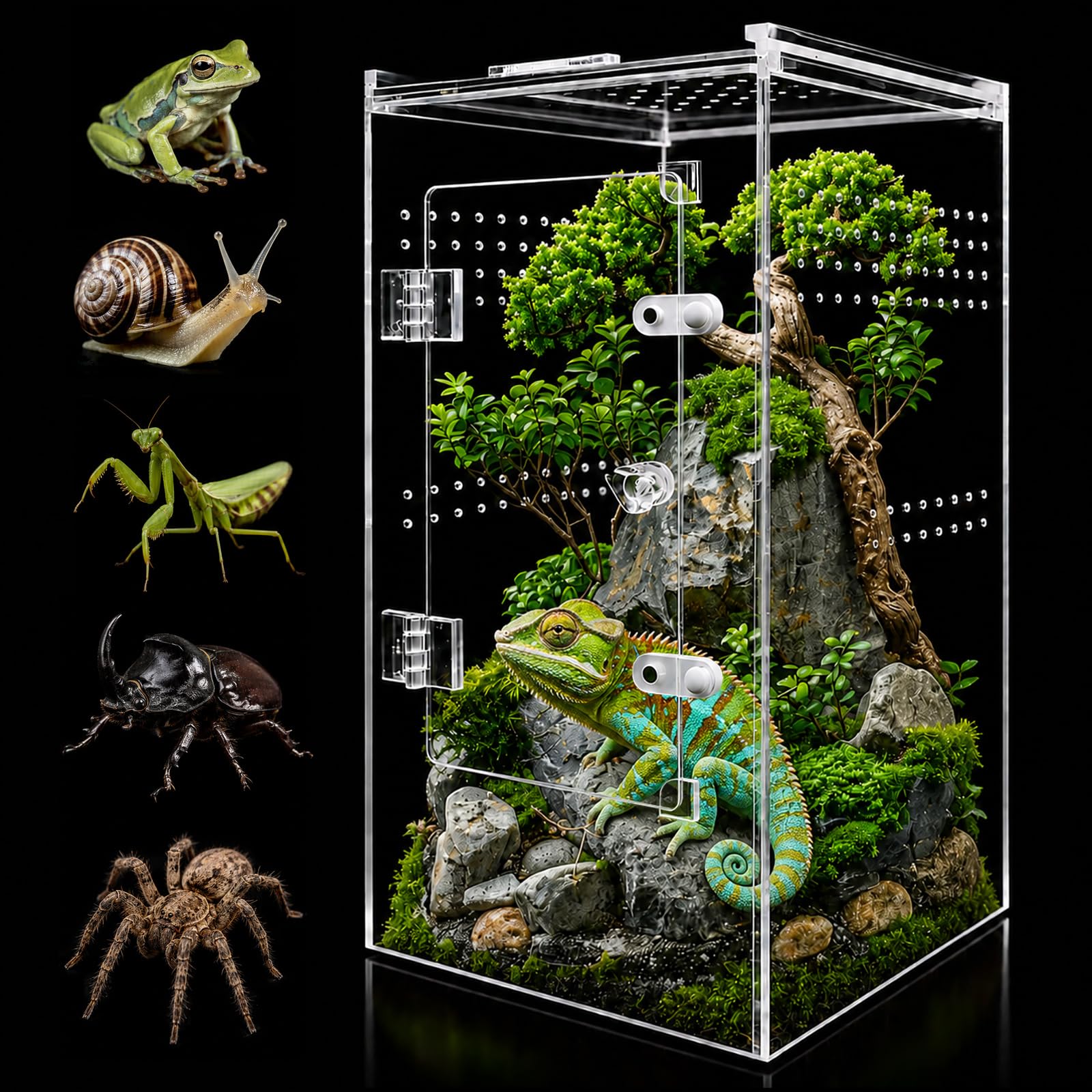 GTSEEMUU Jumping Spider Enclosure, 15 x 15 x 30 cm Acrylic Terrarium for Tarantula, Snail, Praying Mantis, Frog, and Small Reptiles (No Installation)