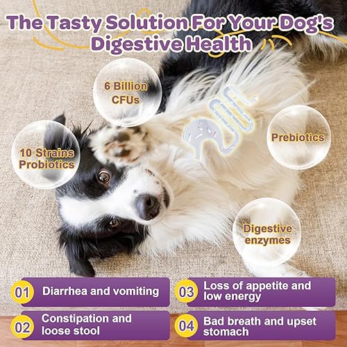 Miniatura 4 de Probióticos para perros 6 mil millones de UFC y 10 cepas con prebióticos, omega-3, enzimas digestivas y multivitaminas, probióticos para perros para