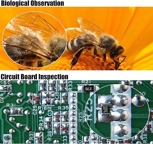 Miniatura 3 de Microscopio de monedas de 4.3 pulgadas, microscopio digital LCD 1000X microscopio de aumento con 8 luces LED ajustables para monedas, sellos,
