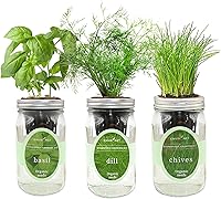 Vista 14 de Kit de cultivo de hierbas hidropónicas, kit de inicio de jardín de hierbas con riego automático en tarro de masón para interiores, jardín de hierbas