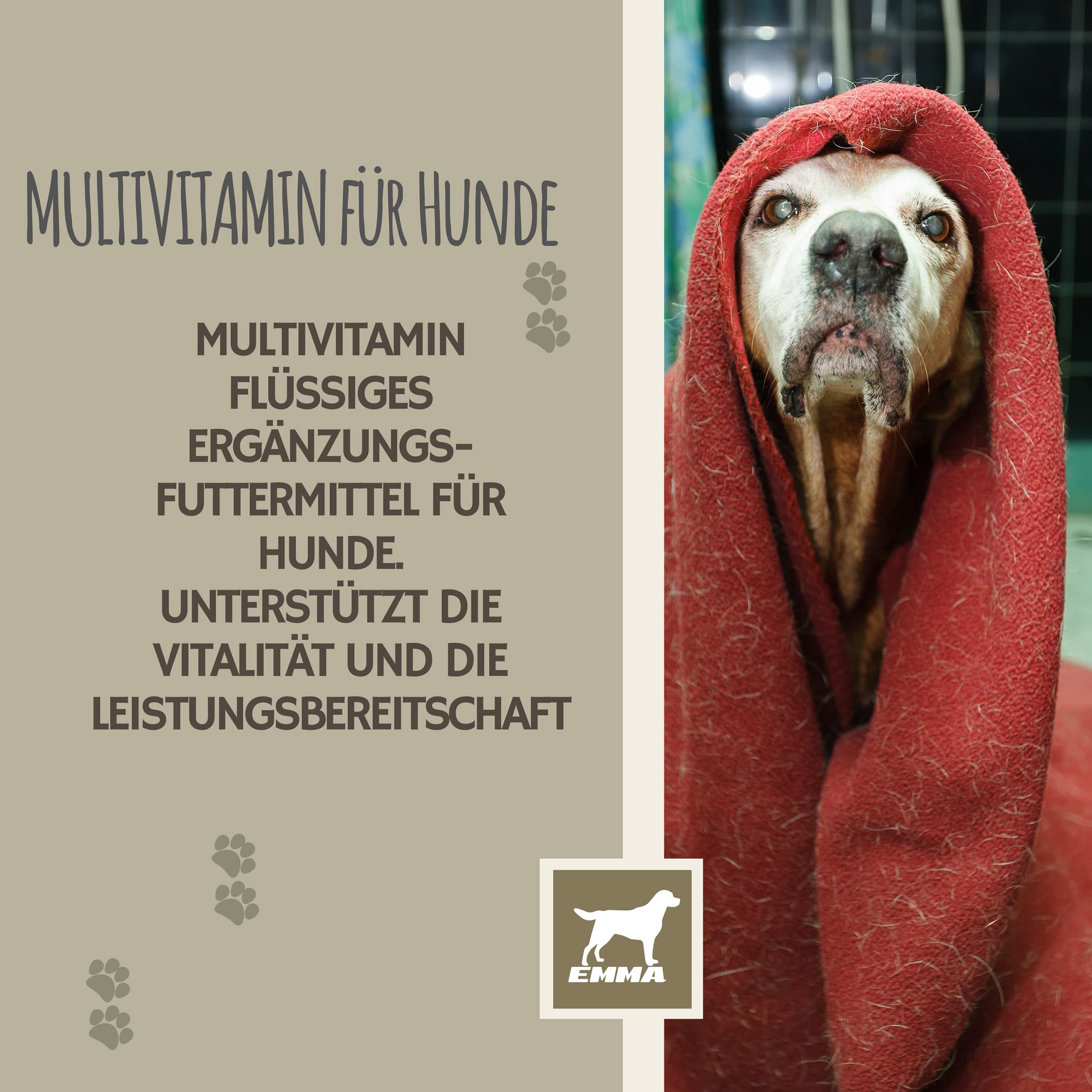 Vitamines pour Chien 0,1ml + Pâte 15ml Complexe de vitamines B Chiens Vitamines B + Vitamine A C D Calcium Renforce la vitalité Multivitamines & Minéraux Soutient Le Système Immunitaire Peau Pelage