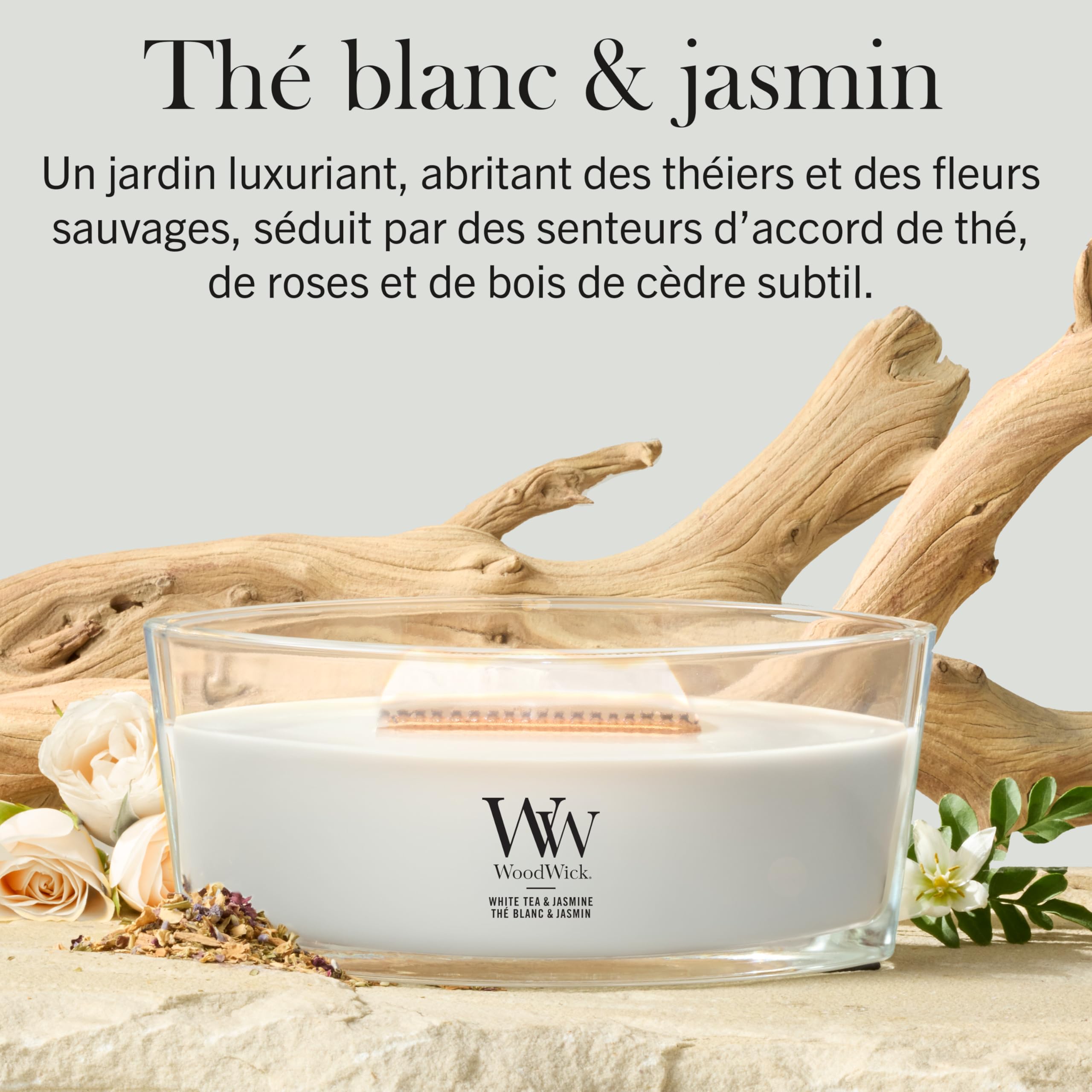 WoodWick Ellipse Bougie parfumée | Thé blanc & Jasmin | avec mèche crépitante | Durée de combustion : jusqu'à 50 heures