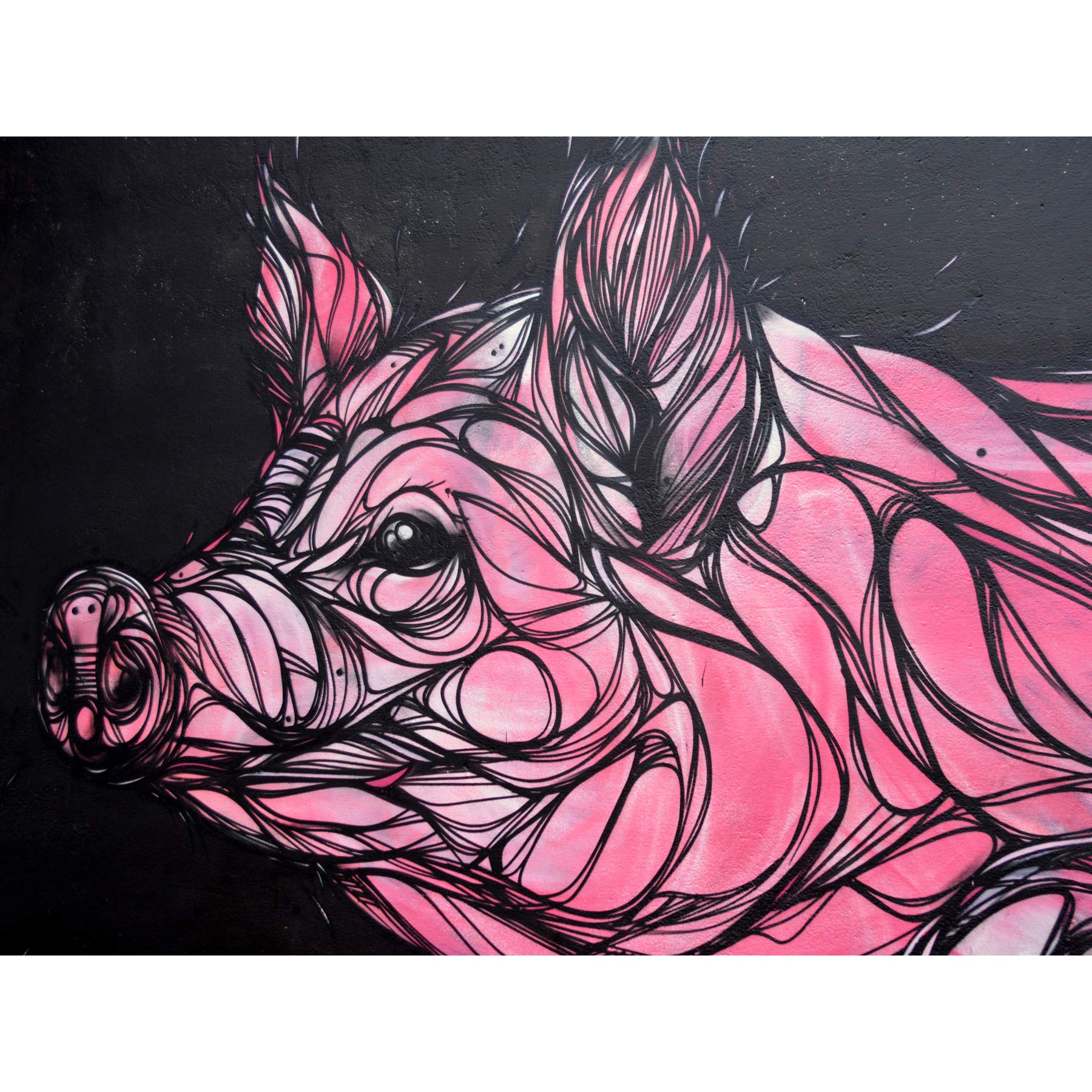 Graffiti Pig Piglet Large Canvas Wall Art Print