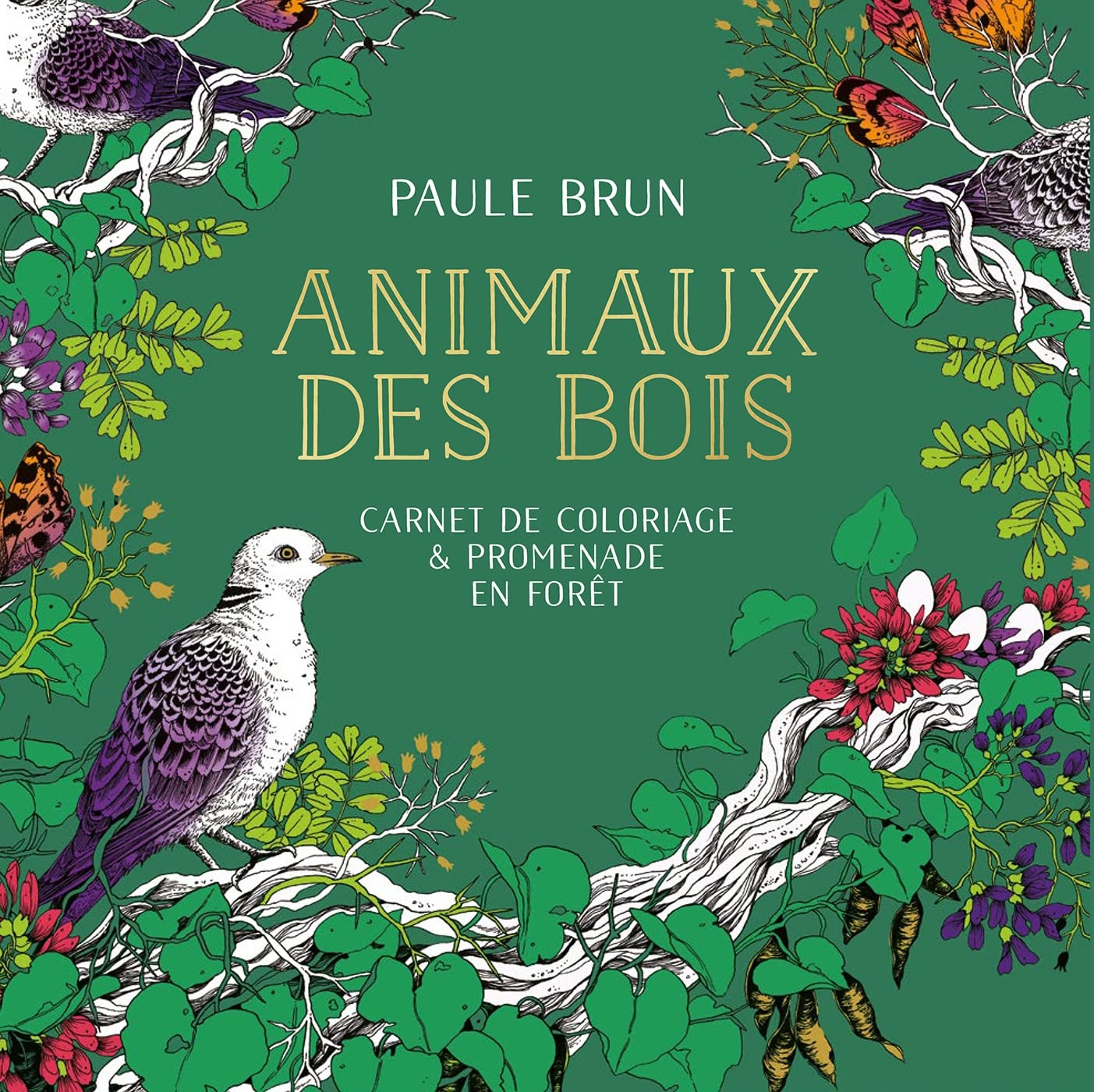 Animaux des bois: Carnet de coloriage & promenade en forêt: 31612