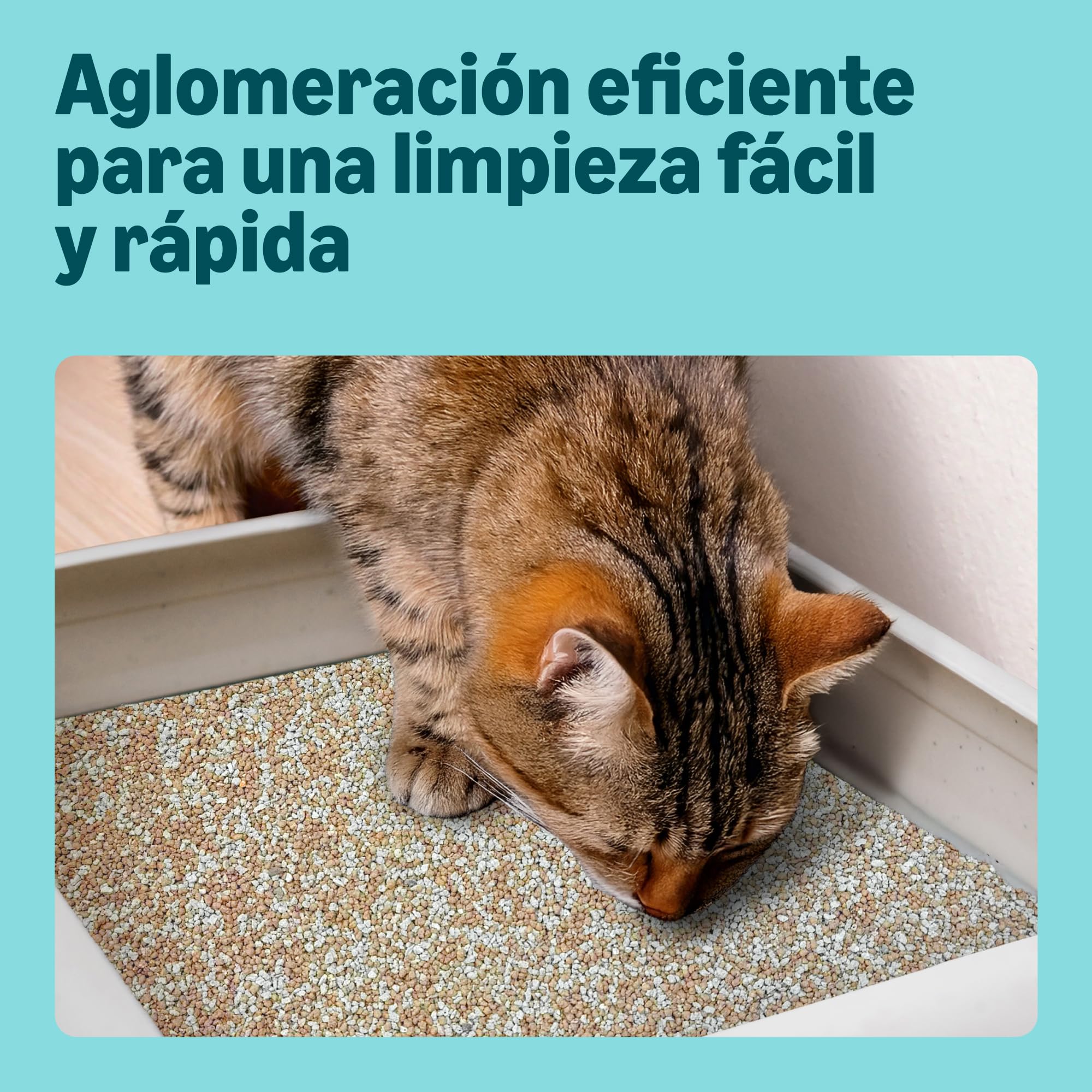 by Amazon Arenero Aglomerante Fino sin Perfume para Gatos, 10L (Paquete de 1)