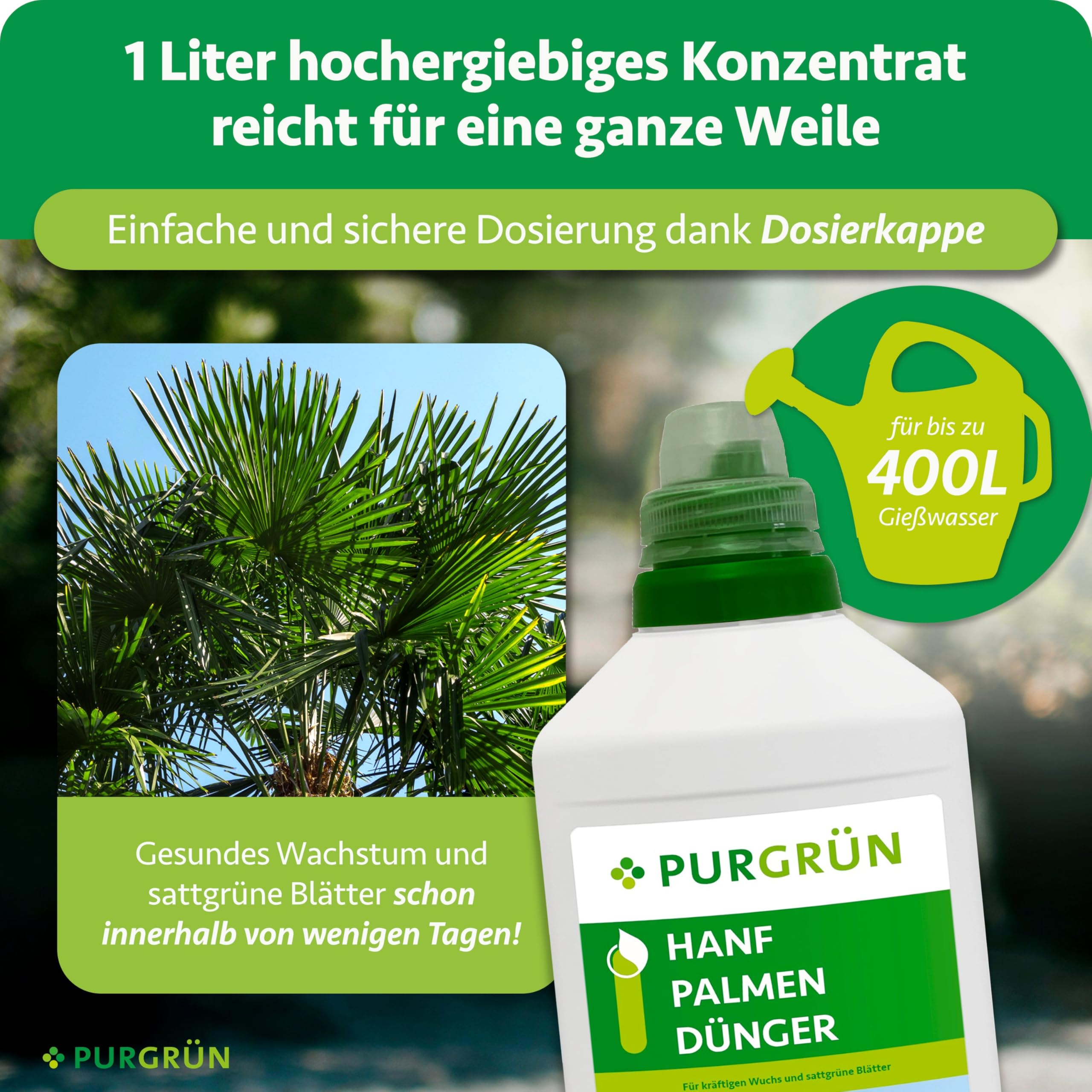 Hanfpalmen-Dünger 1 Liter – Fördert schnelles, gesundes Wachstum – Strahlend grüne Blätter dank Vollspektrum-Nährstoffen – Stärkt die Widerstandskraft – Für bis zu 400 Liter Gießwasser