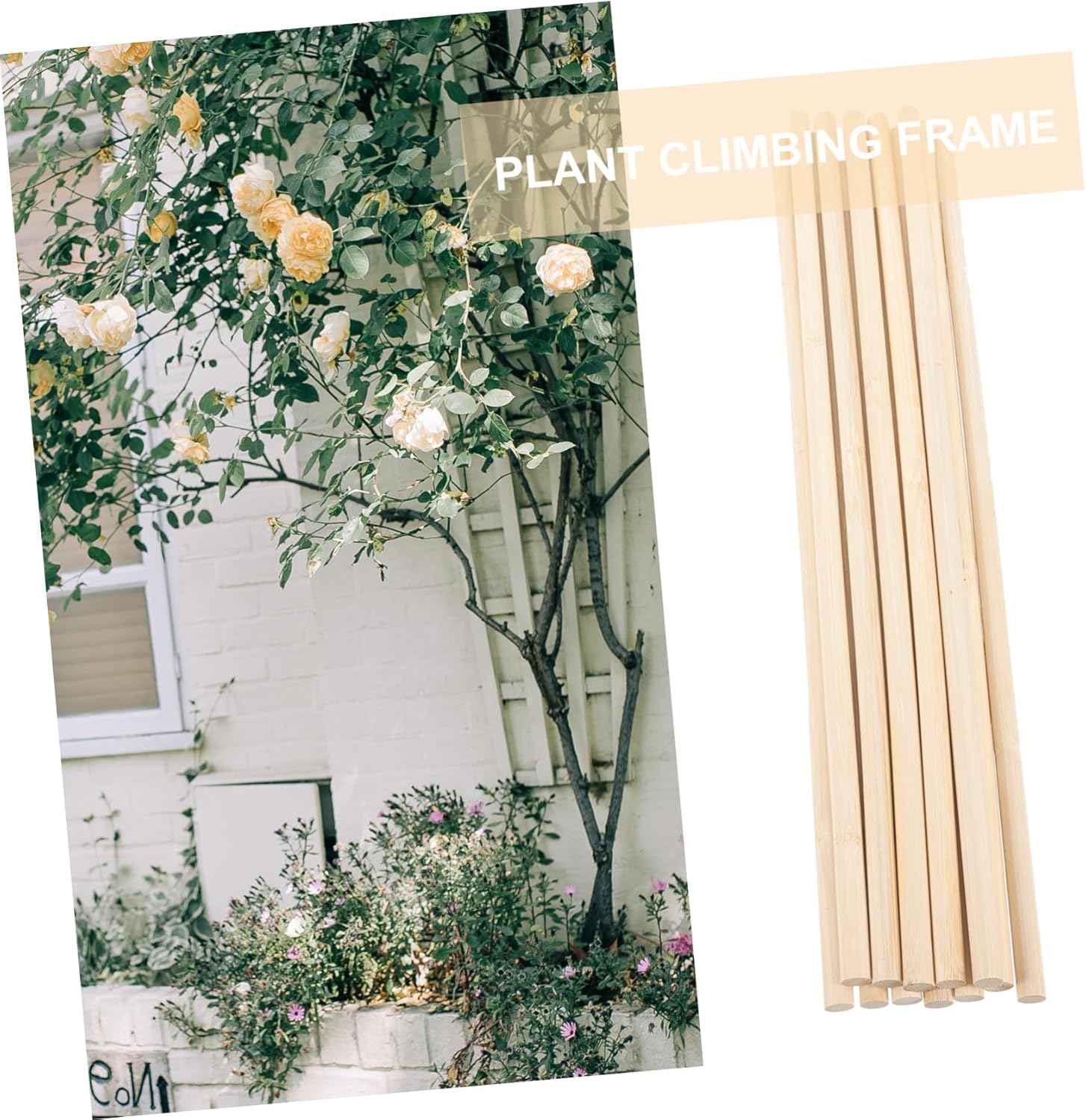 KESYOO 50pcs Garden Pot Stand Vine Plant Climbing Stand Stands Support Vine Plant Climbing Rack Gardening Plant Plants Indoor Orchid Climbing Racks Garden Supplies Khaki