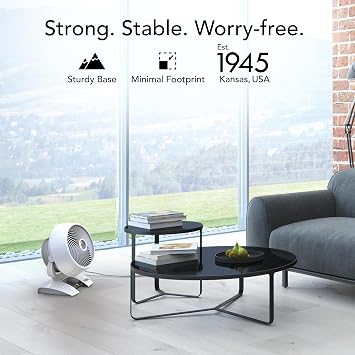 Vornado 6303DC Energy Smart Medium Air Circulator Fan with Variable Speed Control, White