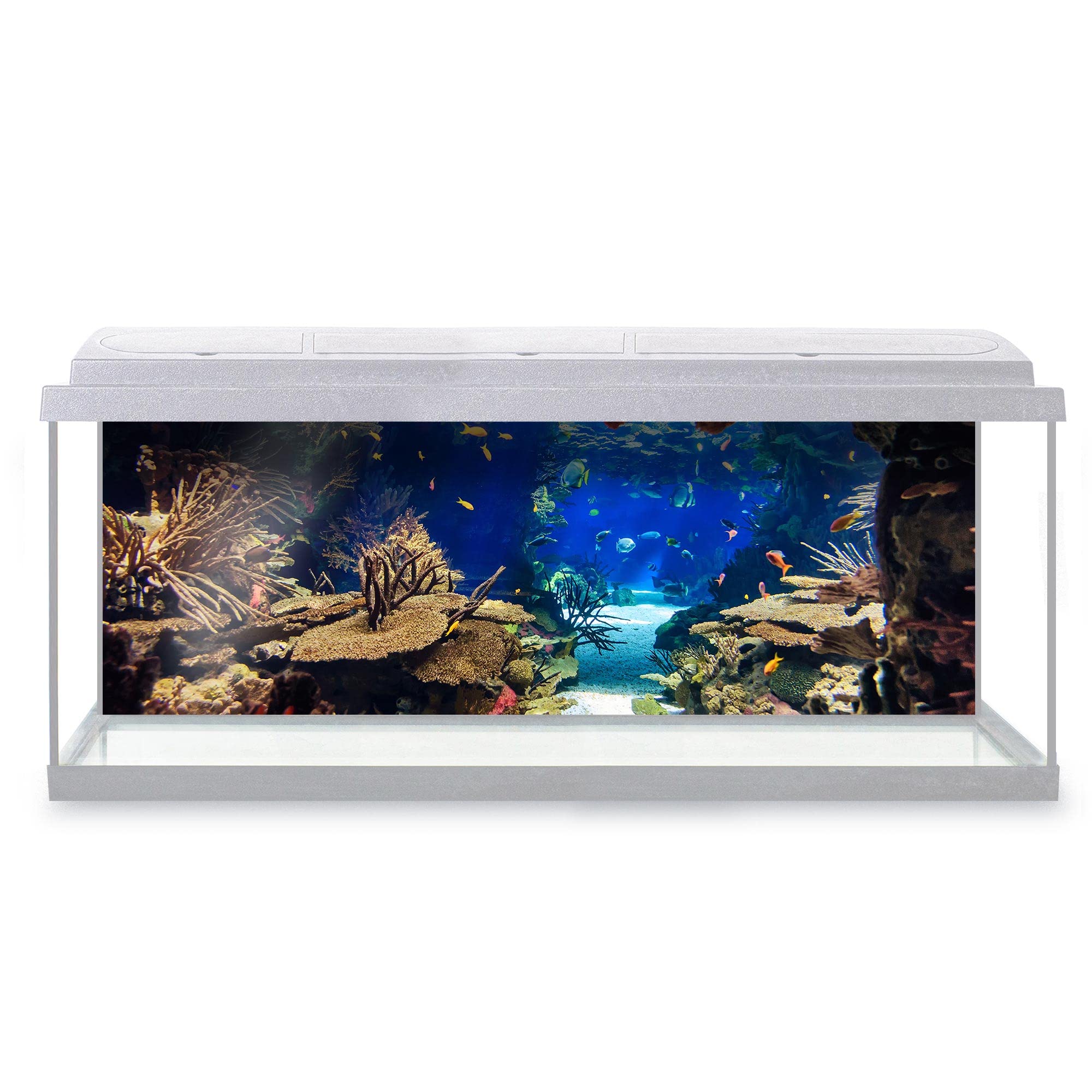 DV DESIGN Aquarium Fish Tank Background 123x42 cm - Aquarium Plants Tropical Colorful Fishes Coral Reef Underwater Deep Sea Animal Static Cling Vinyl Vivarium Terrarium External Application #500003