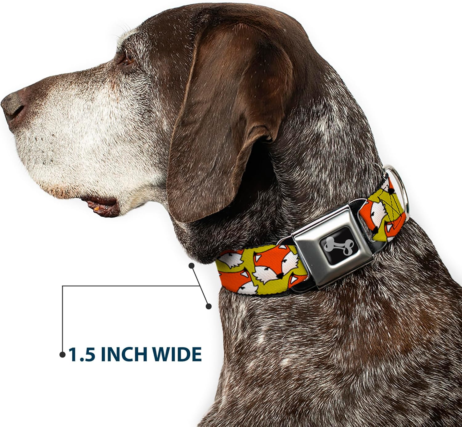 Dog Collar Seatbelt Buckle Fox Face Scattered Warm Olive2 15 to 26 Inches 1.0 Inch Wide