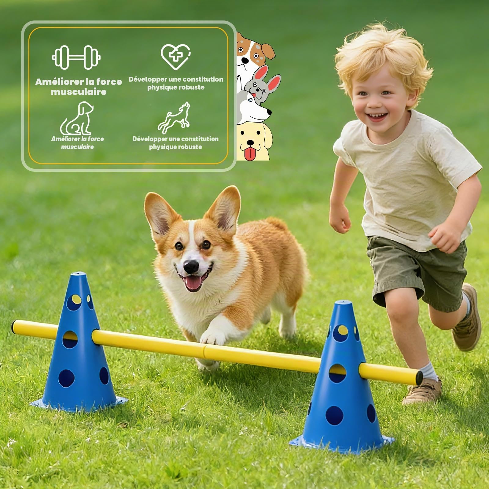 Cavaletti Lot de 6 accessoires d'agilité pour chien, obstacles, obstacles, loisirs, saut