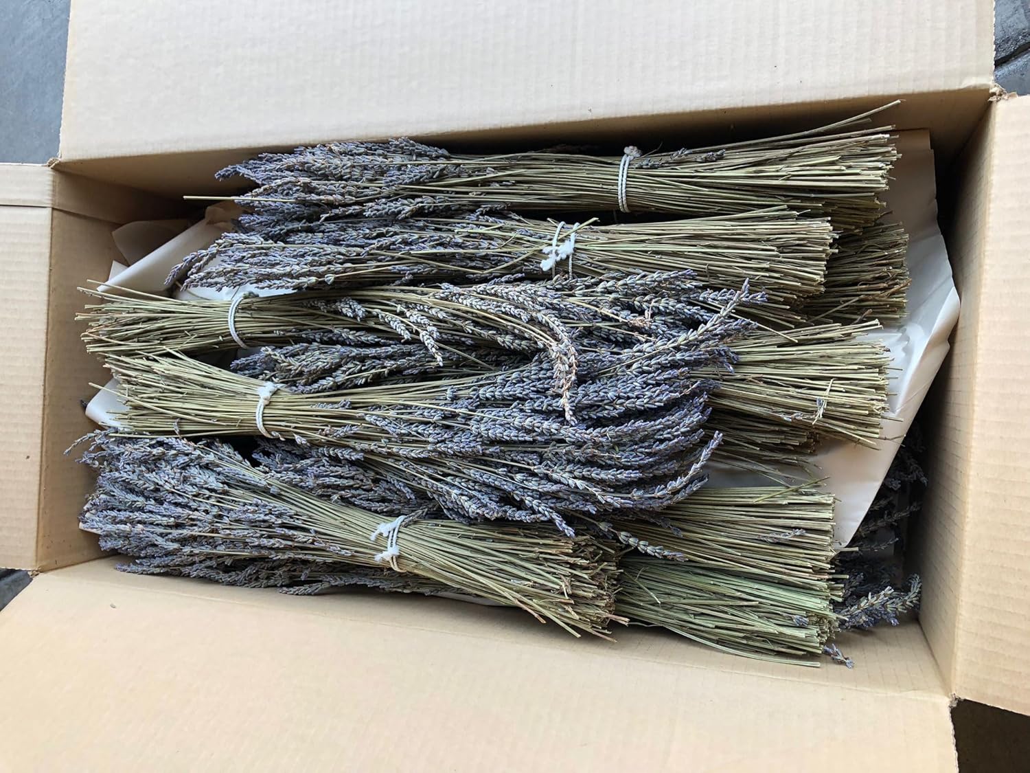 Natural Dried Lavender Flower Bundle Grosso Bulk Bunches | 3000 Stems, 23 inch Extra Long, 8 lb | Home Decoration, Fragrance, Bouquet Weddin