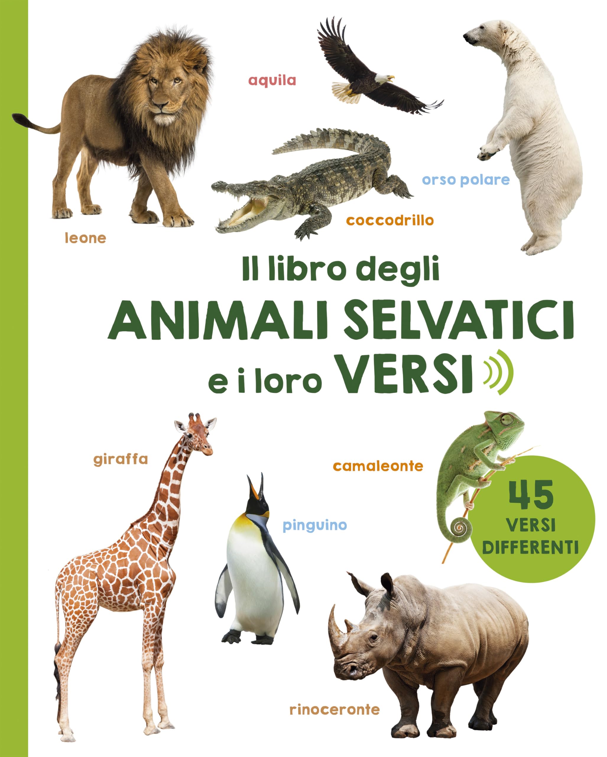 Il Libro Degli Animali Selvatici E I Loro Versi - 4