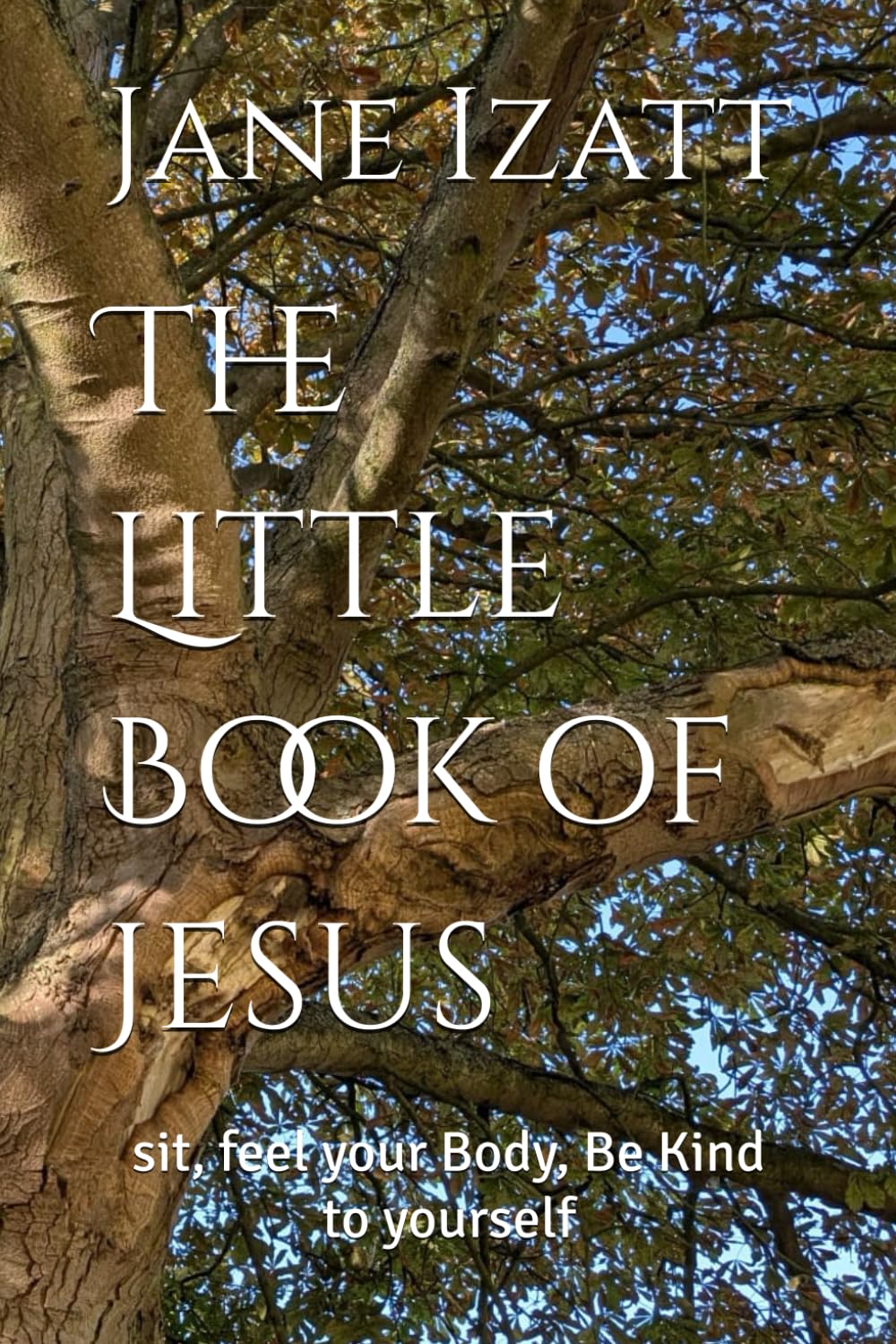 The Little Book of Jesus: sit, feel your Body, Be Kind to yourself