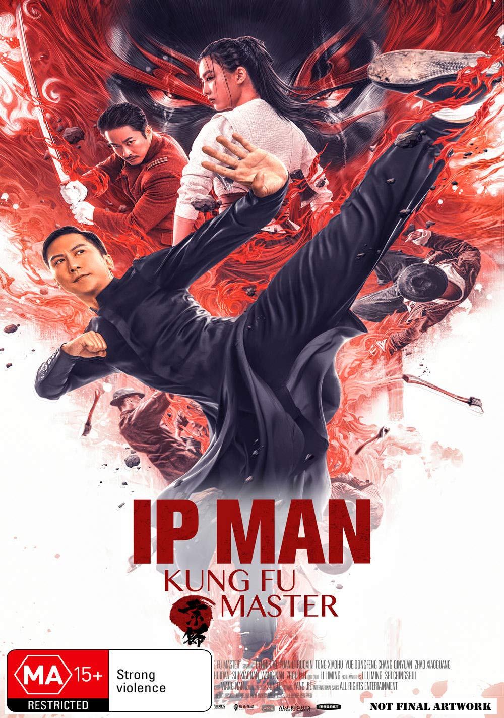 IP Man - Kung Fu Master