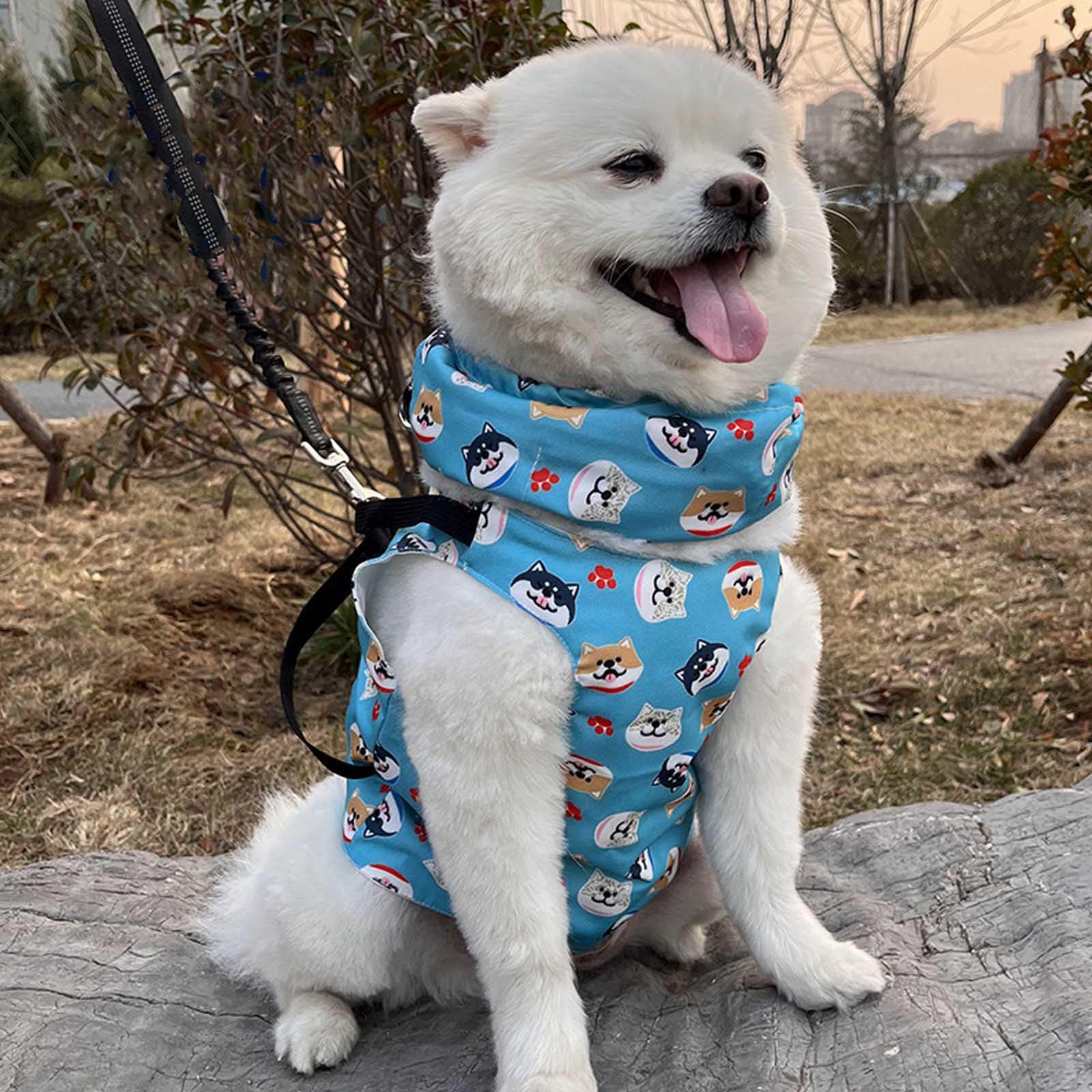 熱中症対策☆ひんやりクールエプロン派手ドット青色フレブル服パグ服犬服