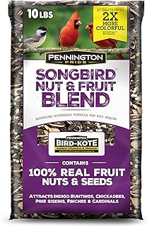 Pennington - Songbird Nut & Fruit - Mezcla de semillas para pájaros silvestres, 10 libras