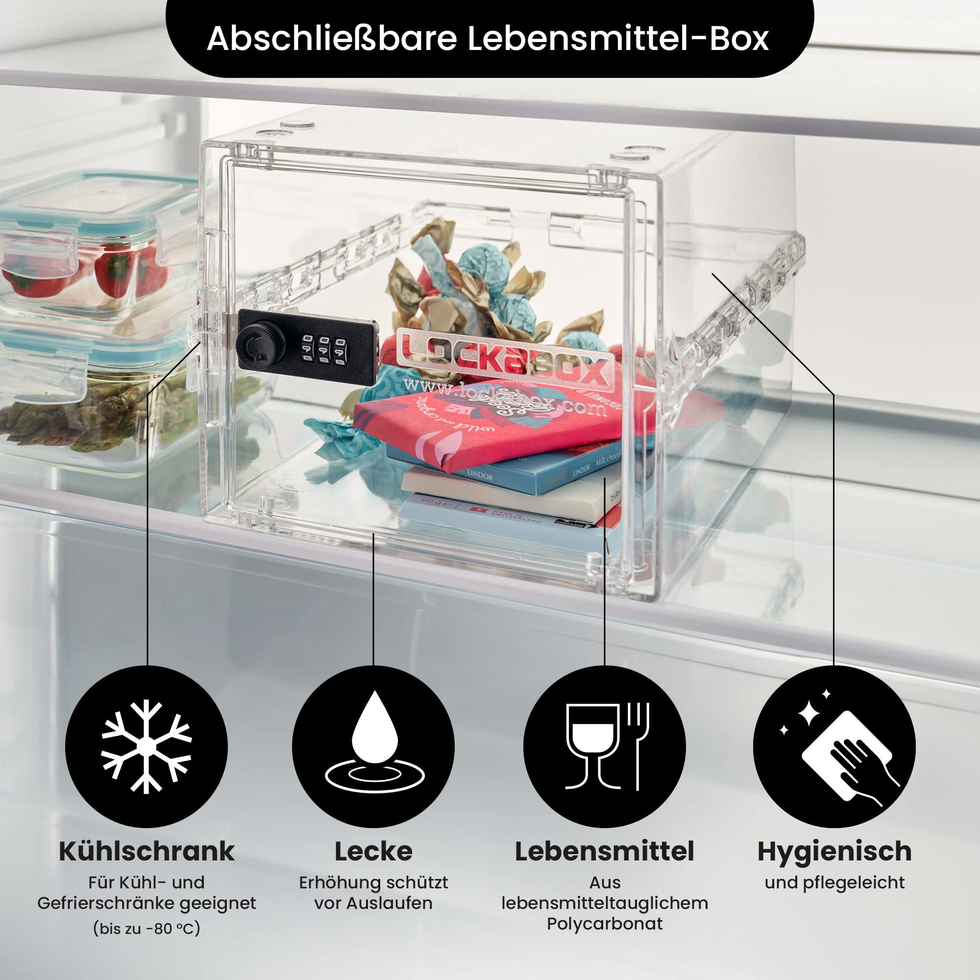 Lockabox One™ abschließbare Aufbewahrungsbox mit Zahlenschloss 31x21x17 cm Kristall