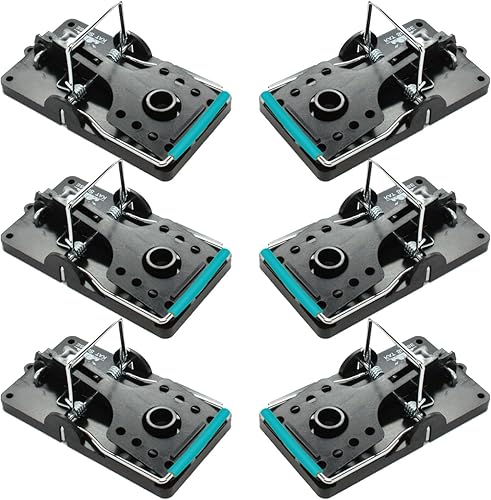 Kat Sense Juego de 6 trampas grandes para ratas, diseño de barra de acero inoxidable, trampa humana para uso en interiores y exteriores, atrapa