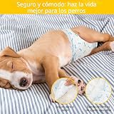 Ver la foto 3