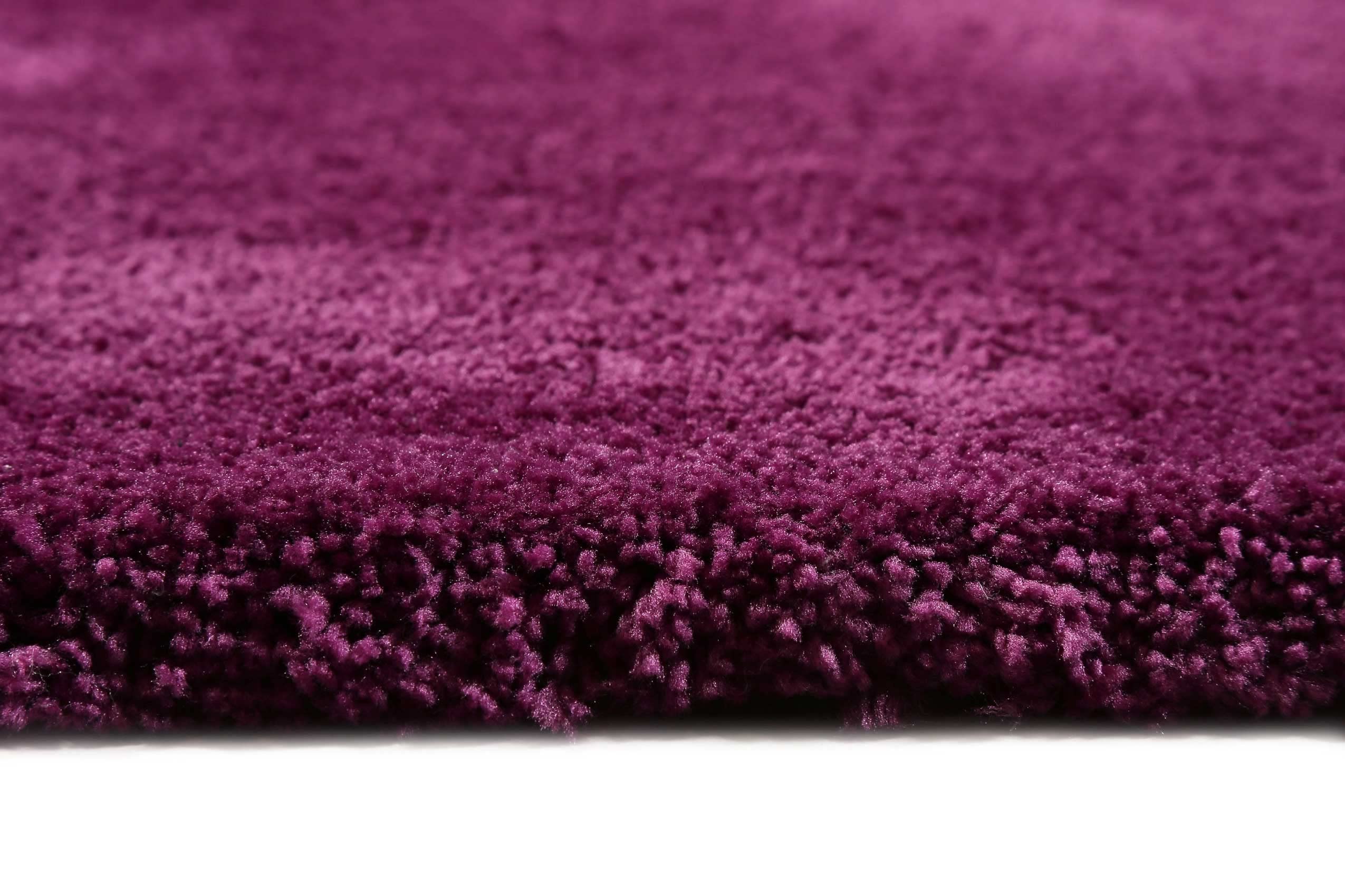 Wecon Home Tapis Microfibre Doux l Esprit l à Poils Longs l idéal pour Le Salon, Chambre, Chambre d'enfant l RELAXX (120 x 170 cm, Prune)
