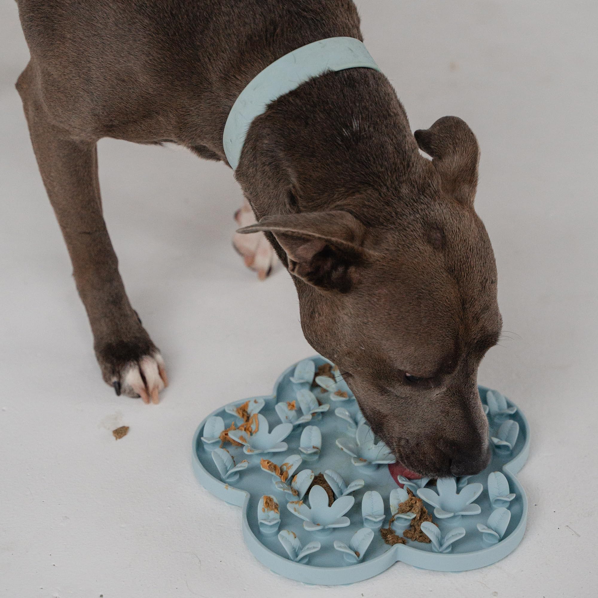 Dexypaws: Tapis à renifler d'enrichissement : Fleur Bleu Ciel – Tapis d'alimentation texturé pour Chien, Silicone de qualité Alimentaire, tartinade de Nourriture et friandises, apaisant pour Les