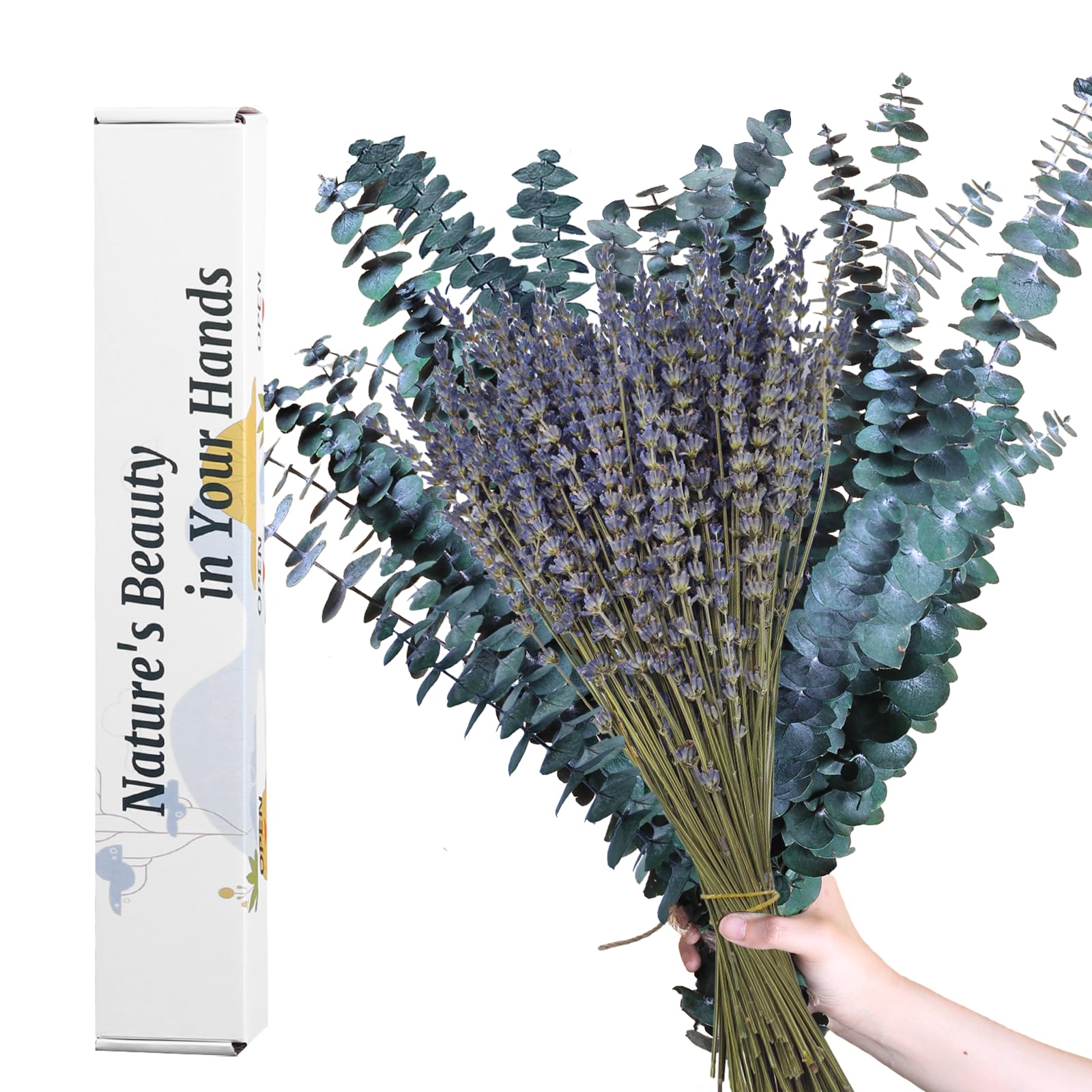 80 Pcs Mix Dried Preserved Eucalyptus & Lavender Flowers Bundles for Shower, 100% Natural 17" Real Fresh Eucalyptus Leaves Stems, Hanging Shower Plant, Home Spa Fragrance Bathroom Decor