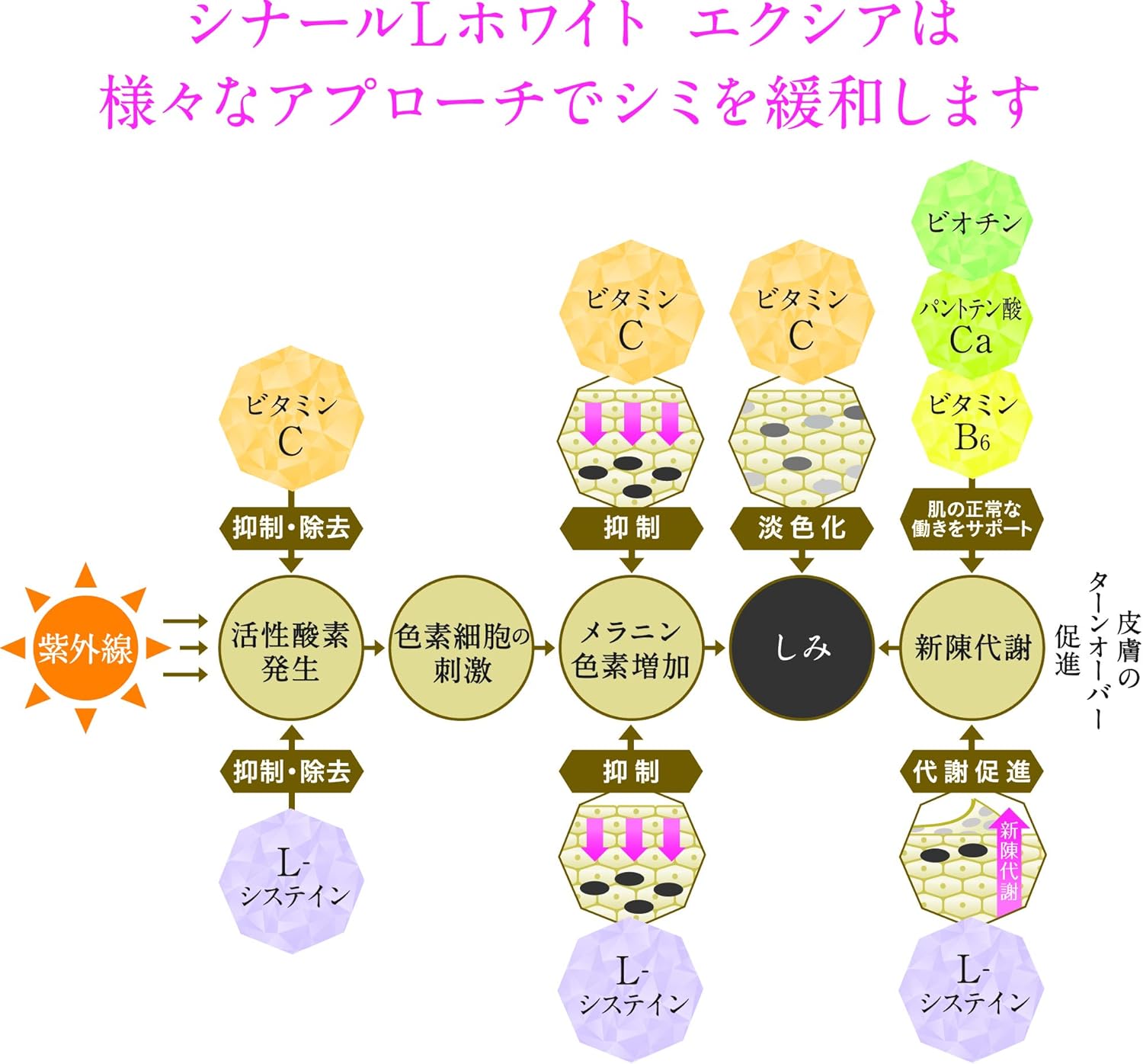 第3類医薬品 シナールl ホワイト エクシア 第3類医薬品 シナールl ホワイト エクシア