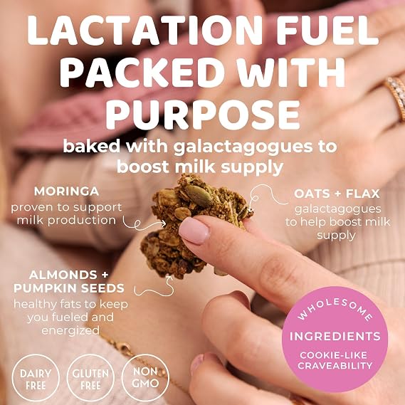 The Hampton Grocer Lacnola Lactation Granola, 2 pack - Healthy Granola for Breastfeeding Moms to Increase Milk Supply | Made from a Galactagogue Superfood Blend with Oats, Flax, Moringa, Almonds, Pumpkin Seeds & Coconut | Lactation Support, Lactation Snacks, Breastmilk Boosting, Breastfeeding Snacks