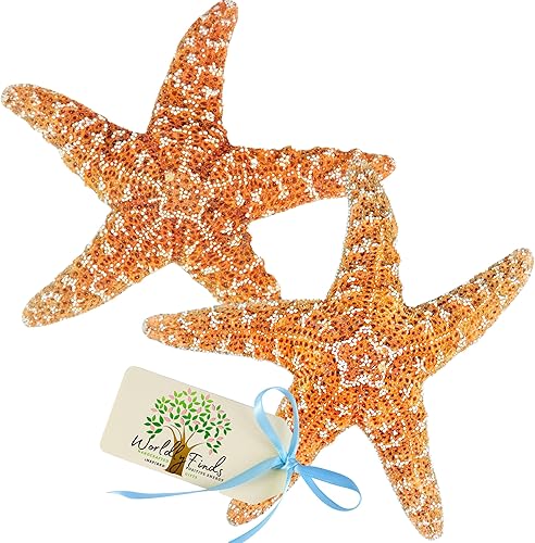 Miniatura 1 de Juego de estrellas de mar para decoración de estrellas de mar estrella de mar grande de 6 a 7 pulgadas paquete de 2 empaquetado con amor océano