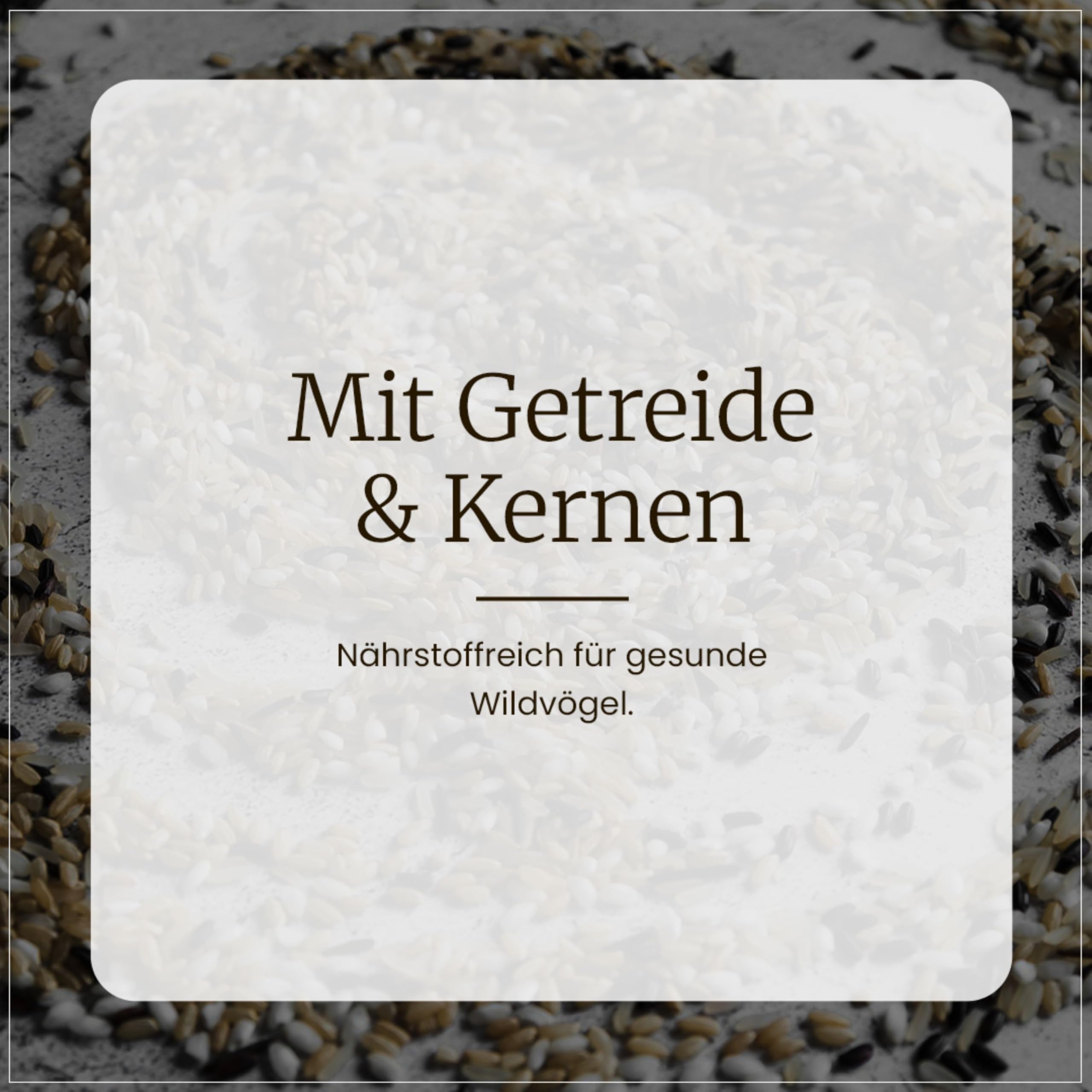 Erdtmanns Meisenknödel mit Netz 100 Stück im Eimer – Wildvogelfutter mit Getreideflocken & Sonnenblumenkernen – für Ganzjahresfütterung – geeignet für Meisen & Co. – wiederverwendbar