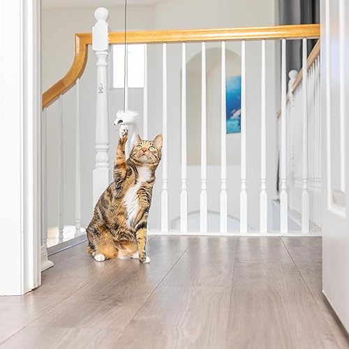 Miniatura 5 de SPOT A-Door-Able - Juguete interactivo para gatos con sonajero colgante y hierba gatera, entretiene a los gatos durante horas, disfruta de los