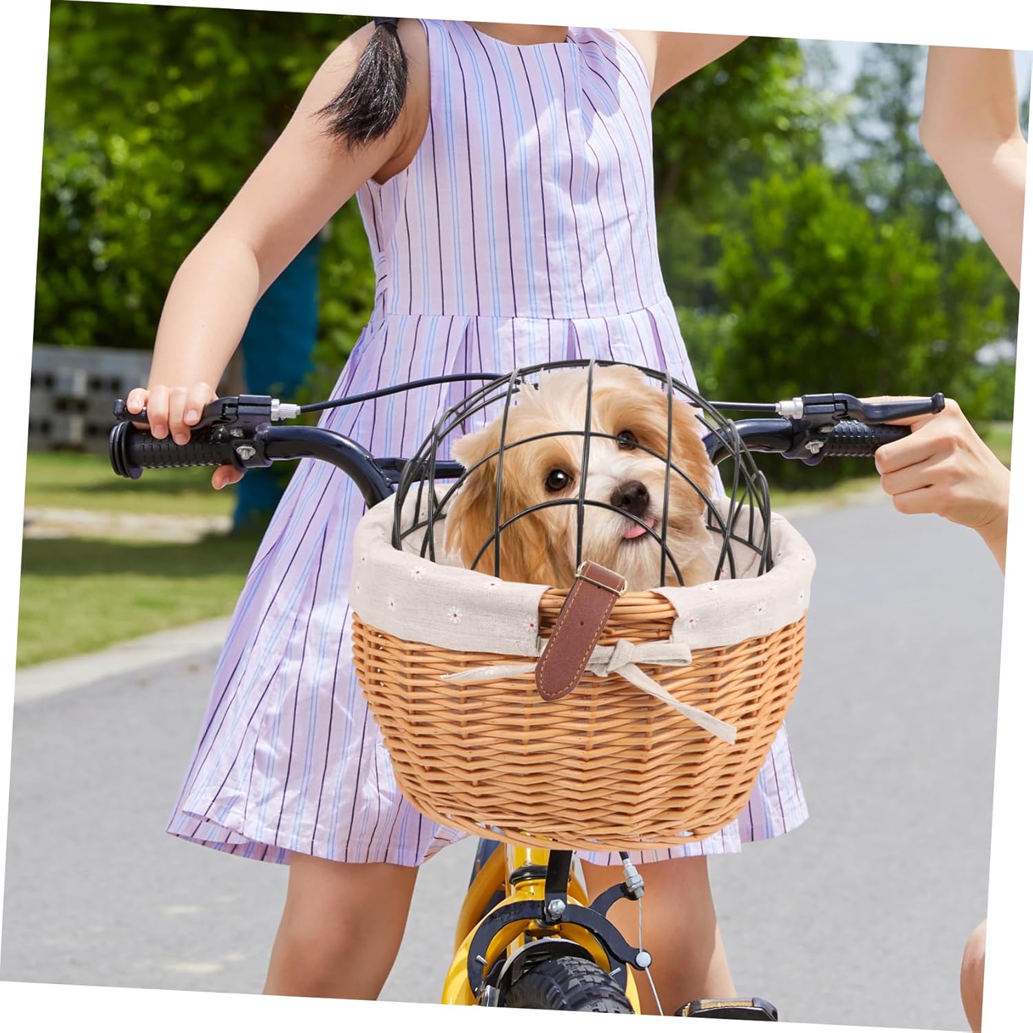 Removable Pet Carrier Basket for Bicycles Capacity Dog Basket with Durable Frame Portable Design for Cats Dogs for Cycling Adventures